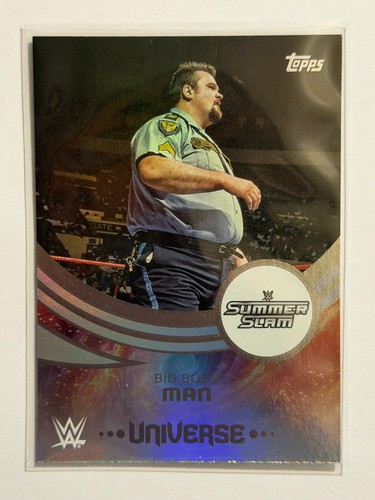 2025 topps wwe universe - 2025,