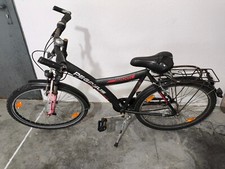 stark gebrauchtes Pegasus