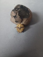 DEUTSCHER LUFTFAHRT-VERBAND (DLV).