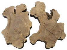 2x Oliven Wurzelholz Holz für