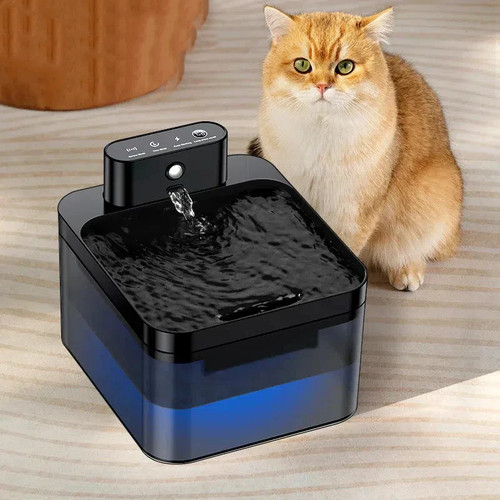 Katzenbrunnen - 2,2l,