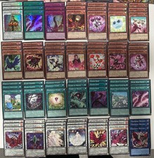 Yugioh Akiza Plant Rose Dragon