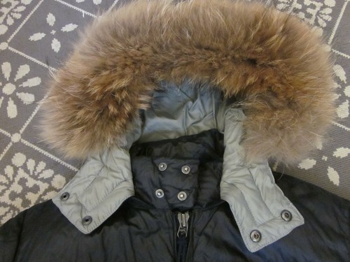 Top jet set exclusive - top, set;