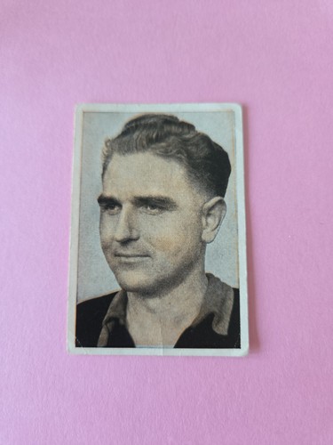 Kauvit bild 1954 - -, toni