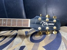 Takamine Black Dreadnought