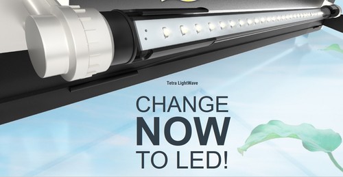Tetra lightwave led - tetra, change