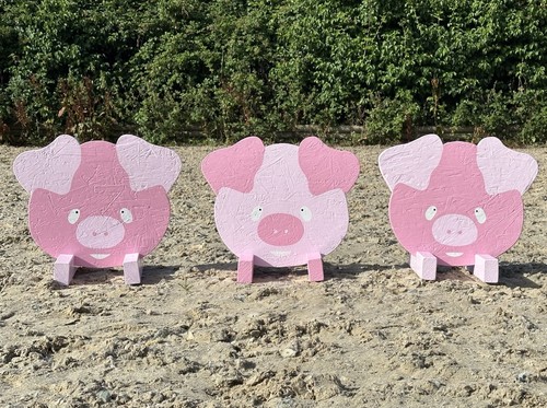 Schweine springspringen - schweine,