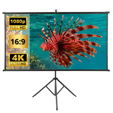 Beamer Leinwand Projektionsleinwand 16:9 Rolloleinwand Präsentationswand 4K