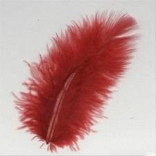 15 Marabufedern ca. 10 cm lang