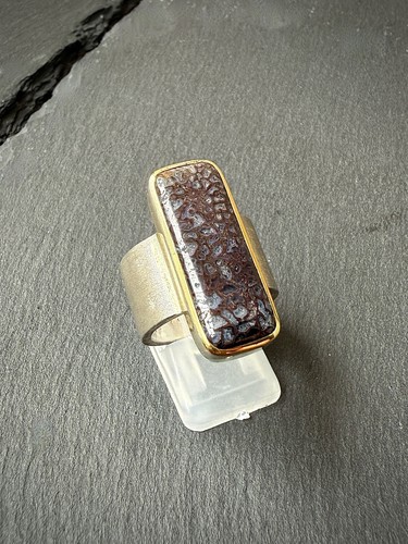 Bandring fossiler saurier - bandring,