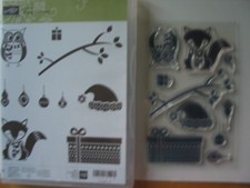 RAR 10 Stempel Cracy Critters Weihnachten Stampin up Fuchs Eule Ast Advent karte