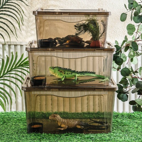 Reptilien aufzuchtbox aus - aufzuchtbox,