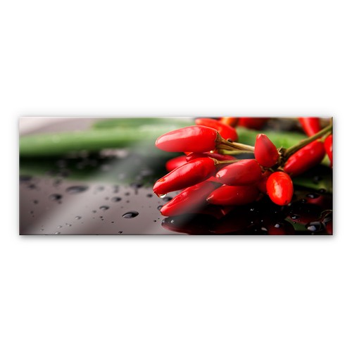 Acrylglasbild exotische - acrylglasbild,