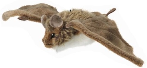 Fledermaus 24cm plüschtier - fledermaus,