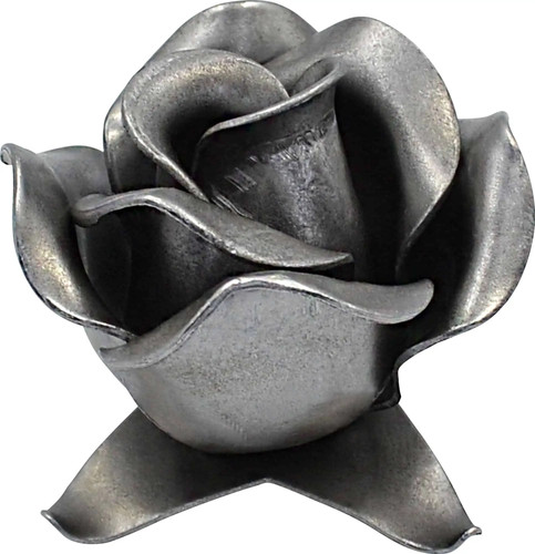 Zierblumen blumenmotive - zierblumen,