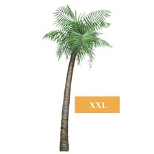 Wandsticker Dschungel