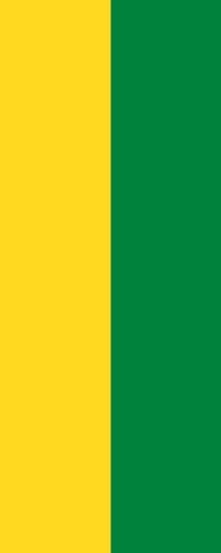 Fahne flagge gelb grün - gelb-grün, im