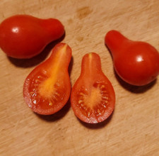 Tomate Sibirisches Birnchen sehr süß robuste Sorte  Freiland Saat Samen Saatgut