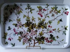 VTG Villeroy & Boch Botanica