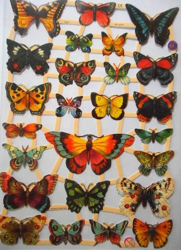 Glanzbilder schmetterling - glanzbilder, ef
