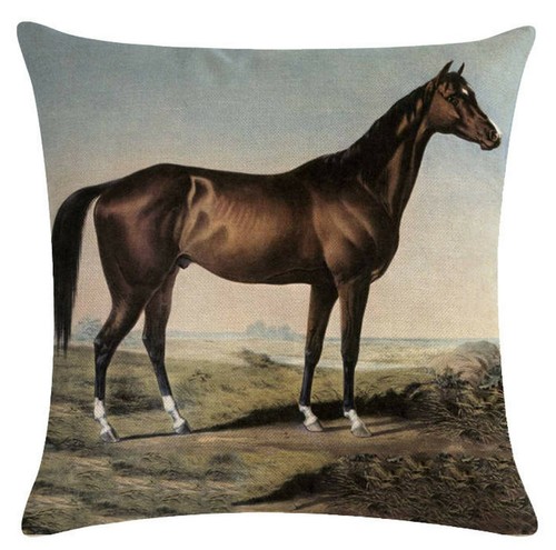 Kissenbezug canvas stoff - kissenbezug, canvas-stoff
