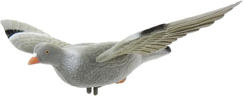 Beflockte locktaube mit - locktaube,