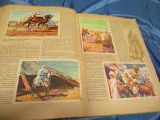 Afrika , Bilder - Album 