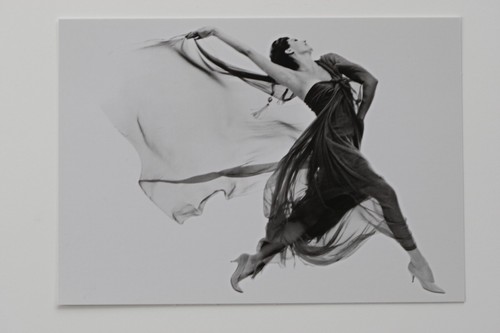 Richard avedon cyd - richard,
