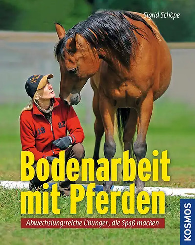 Bodenarbeit mit pferden - mit,