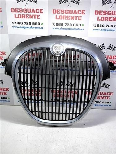 4r838a100 kühlergrill 316083