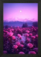 Rosen und Mond Gerahmtes