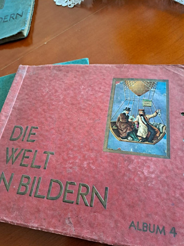 Aurelia ernst karl müller - aurelia,