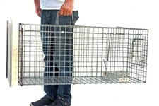 Fuchsfalle Waschbärfalle