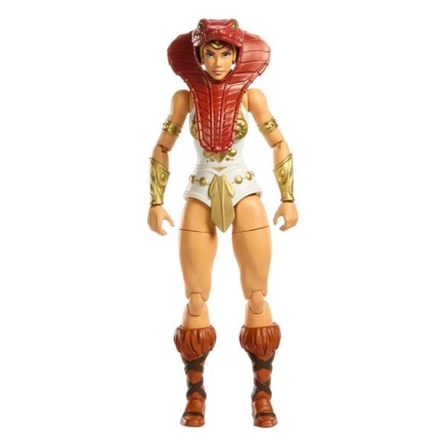 Masters the universe - the,