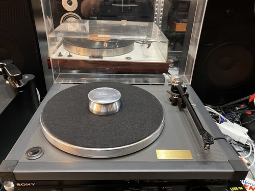 Goldring mit ortofon - tm,