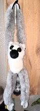 Klammeraffe Affe Lemur