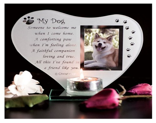 Mein hund inspirierendes - mein,