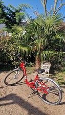 Damenfahrrad 28 Zoll Hercules