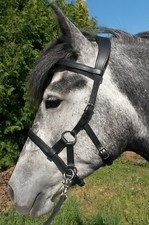 RH-EMPATHIA Sidepull Soft Gel