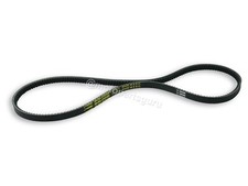 M617314 OEM Belt Malossi X-K