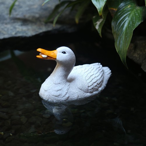 Schwimmende ente ornamente - ente,