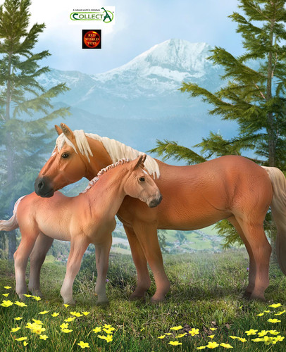 Noriker flachs kastanie - noriker,