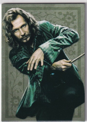 Panini harry potter - harry,