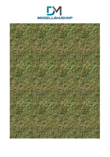 Gras rasen textur - rasen,