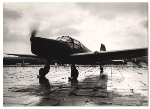 Fotografie magnussen kiel - fotografie, magnussen,