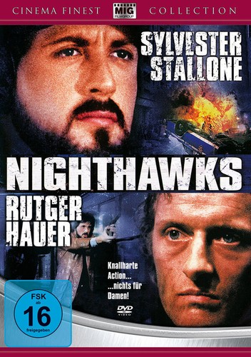 Nachtfalken nighthawks - nachtfalken,