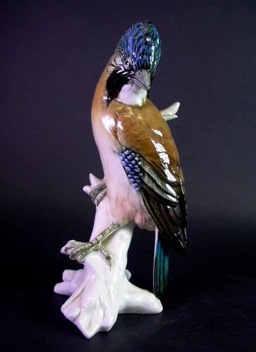 Grosser vogel auf ast - grosser,