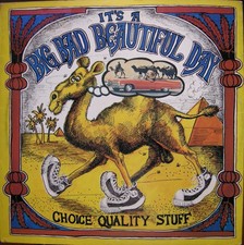 It's A Beautiful Day - Choice