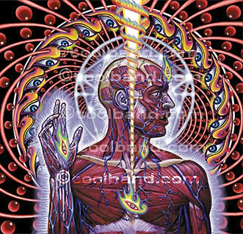 Tool lateralus - tool,