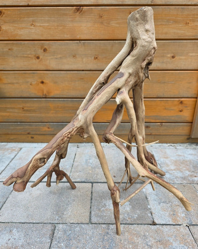 Talawa wood 46x40x51cm - wood,